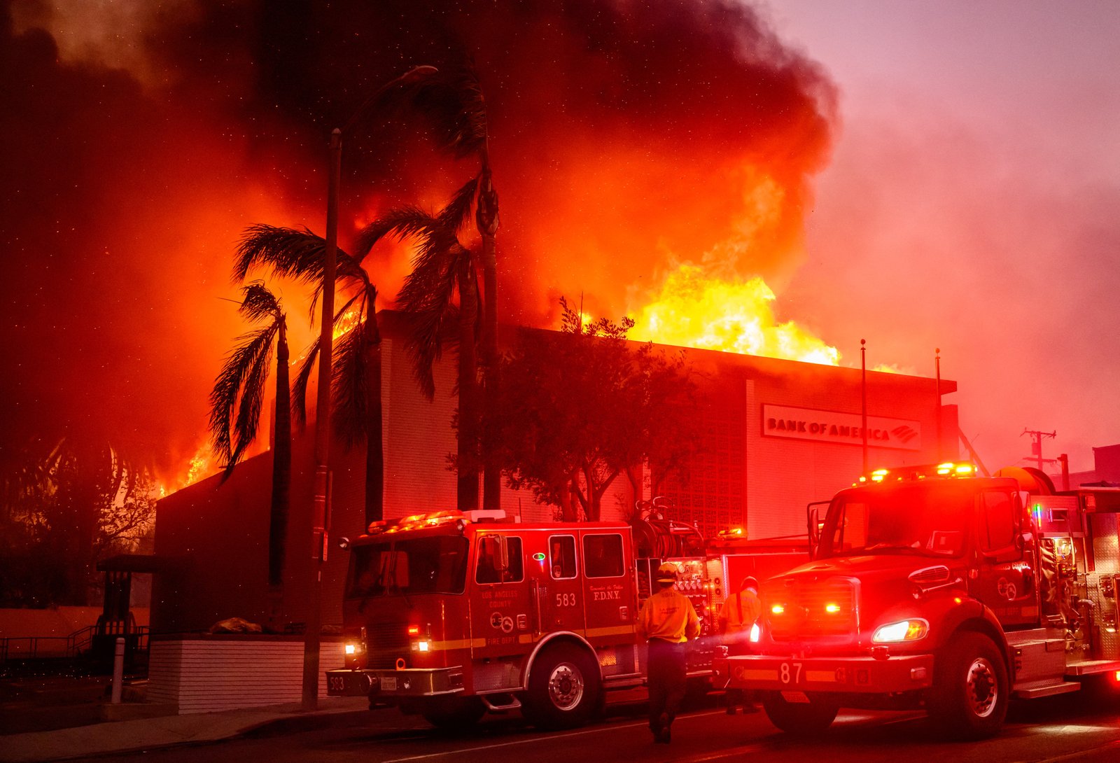 ‘Blues Brothers’ Actress, 95, Dies in LA Wildfire