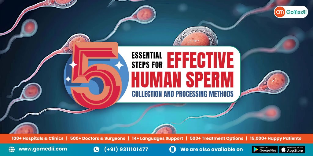 5 Steps for Effective Human Sperm Collection and Processing Methods